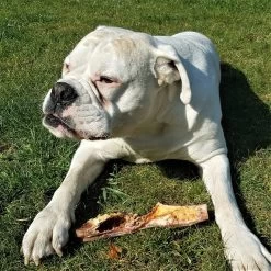 Topdiervoeding Runderkophuid Hondensnacks - Vers Gedroogd - 30cm - 1000 Gram -Dierenwinkel 1200x1200 131