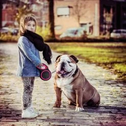 IGOODS - Uitlaatriem - Honden Riem - Katten Riem - Uitlaatriem Voor Dieren - Rollijn - 5 Meter Lang Roze -Dierenwinkel 1200x1200 1314