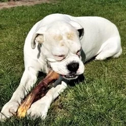 Topdiervoeding Runderkophuid Hondensnacks - Vers Gedroogd - 30cm - 1000 Gram -Dierenwinkel 1200x1200 132