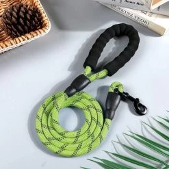 Comfortabele Hondenriem Met Gevoerd Handvat – Stevige Nylon Hondenlijn – Riem Voor Honden -Dierenwinkel 1200x1200 1322