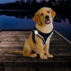 Topmast Airmesh Hondentuig - Click & Go - Petrol - S - Reflecterend - Harnas Hond - Hondentuigje - Hondenharnas - Voor Puppy, Kleine, Medium En Grote Hond 8 Topmast Airmesh Hondentuig - Click & Go - Petrol - S - Reflecterend - Harnas Hond - Hondentuigje - Hondenharnas - Voor Puppy, Kleine, Medium En Grote Hond -Dierenwinkel 1200x1200 1324