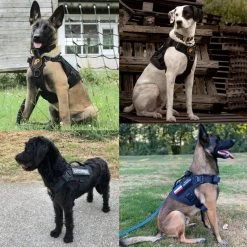 Always Prepared © Pro K9 Hondentuig - Anti Trek - Y Tuig - Middel En Grote Hond - Veiligheidstuig -Dierenwinkel 1200x1200 1327