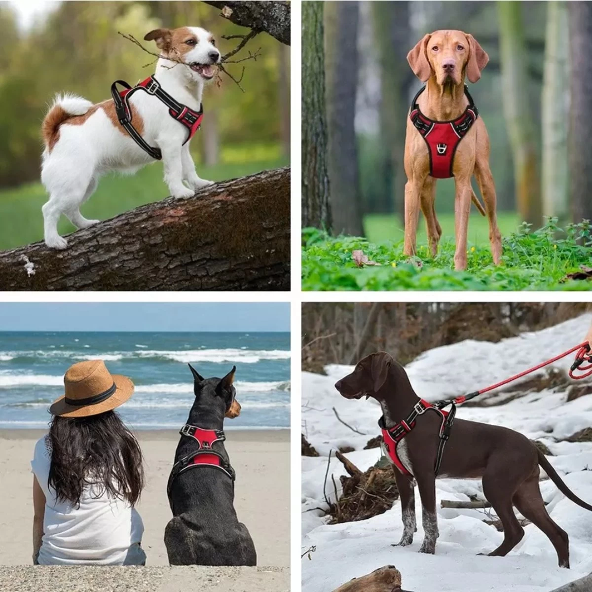 Hondenharnas – Inclusief Hondenriem – Reflecterend – Hondentuig – Hondenriem – Y Tuig Hond - Anti Trek Tuig - Zwart – Maat M 6 Hondenharnas – Inclusief Hondenriem – Reflecterend – Hondentuig – Hondenriem – Y Tuig Hond - Anti Trek Tuig - Zwart – Maat M - Afbeelding 4