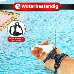 Purrr Fect Hondentuigje - Anti-Trek Tuig - Hondenharnas - Y Tuig Hond - Waterproof - Reflecterend - Verstelbaar - Maat M -Dierenwinkel 1200x1200 1334