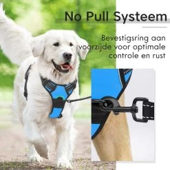 Sharon B - Hondentuigje - Voor Middelgrote Honden - Blauw - Maat M - No Pull Harnas - Anti Trek - Reflecterend - Hoeft Niet Over Het Hoofd Aangetrokken Te Worden -Dierenwinkel 1200x1200 1353