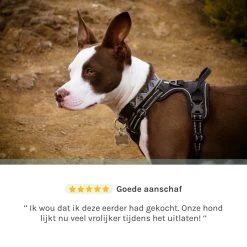 Hondentuigje Medium – Hondenharnas - Anti Trek Tuig Hond – Y Tuig – Reflecterend – Zwart – Maat M -Dierenwinkel 1200x1200 1366