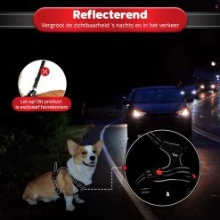 Purrr Fect Hondentuigje - Anti-Trek Tuig - Hondenharnas - Y Tuig Hond - Waterproof - Reflecterend - Verstelbaar - Maat L -Dierenwinkel 1200x1200 1370