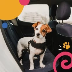 Hondentuig - Hondenharnas - Hondenriem - Anti Trek - Autogordel Hond - Zwart - Maat S 15 Hondentuig - Hondenharnas - Hondenriem - Anti Trek - Autogordel Hond - Zwart - Maat S -Dierenwinkel 1200x1200 1375