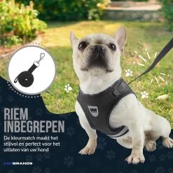 MM Brands Hondentuig - Harnas Hond - Y Tuig - Reflectie - Small - Zwart -Dierenwinkel 1200x1200 1410