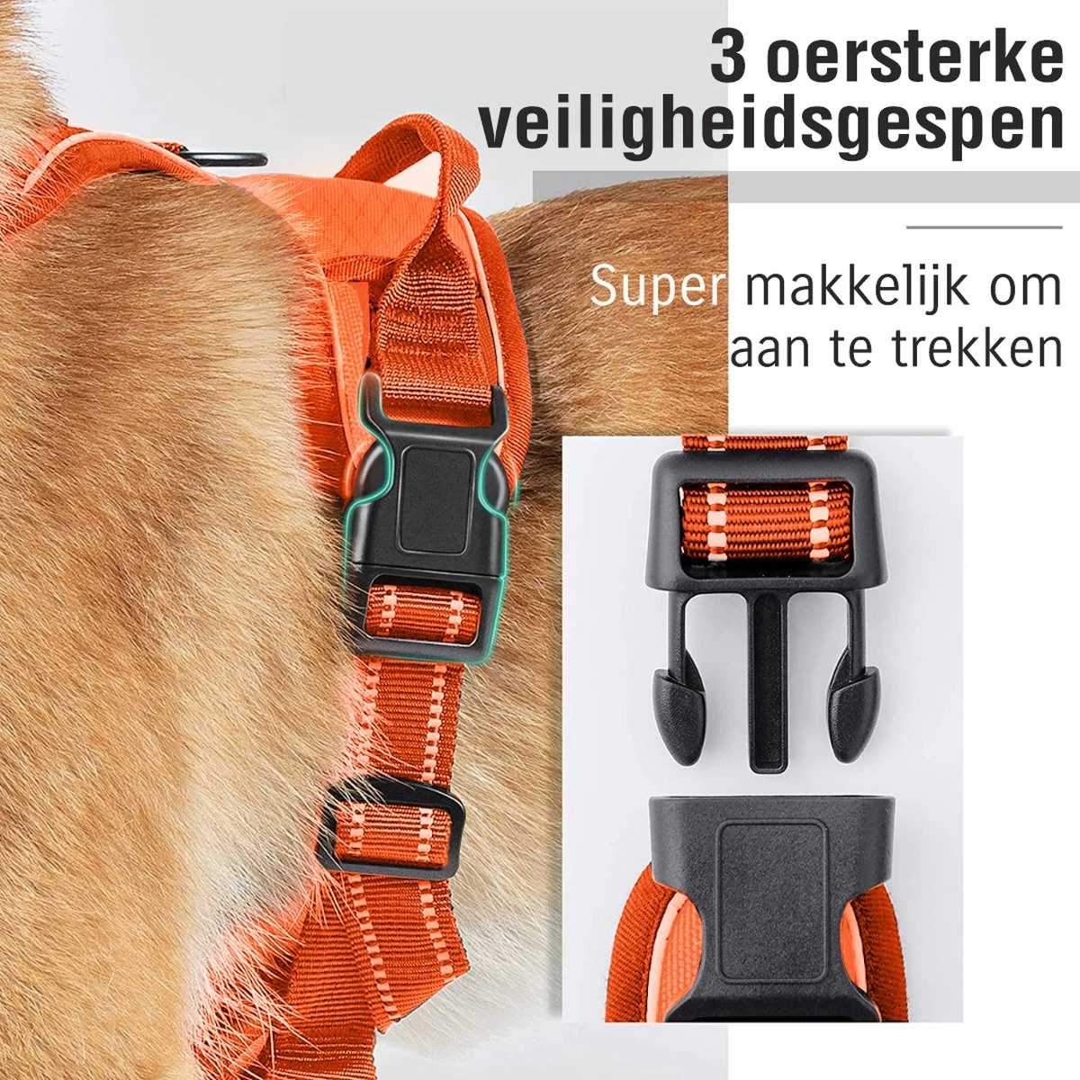 Sharon B - Hondentuigje - Voor Middelgrote Honden - Oranje - Maat M - No Pull - Anti Trek - Reflecterend - Hoeft Niet Over Het Hoofd Aangetrokken Te Worden 4 Sharon B - Hondentuigje - Voor Middelgrote Honden - Oranje - Maat M - No Pull - Anti Trek - Reflecterend - Hoeft Niet Over Het Hoofd Aangetrokken Te Worden - Afbeelding 2