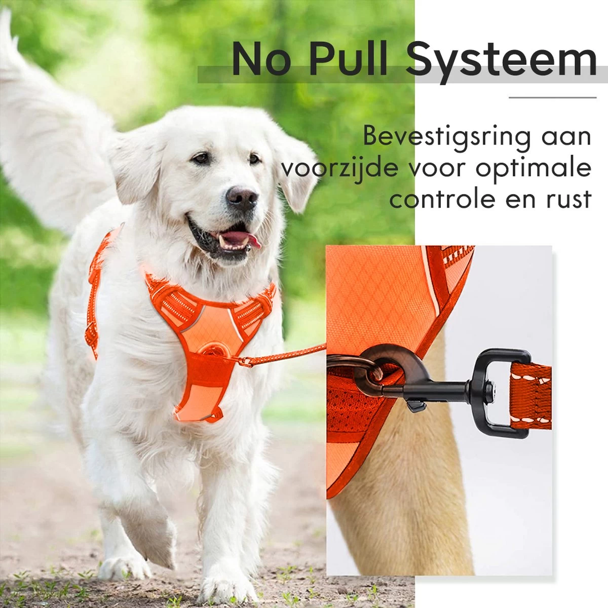 Sharon B - Hondentuigje - Voor Middelgrote Honden - Oranje - Maat M - No Pull - Anti Trek - Reflecterend - Hoeft Niet Over Het Hoofd Aangetrokken Te Worden 7 Sharon B - Hondentuigje - Voor Middelgrote Honden - Oranje - Maat M - No Pull - Anti Trek - Reflecterend - Hoeft Niet Over Het Hoofd Aangetrokken Te Worden - Afbeelding 5
