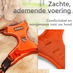 Sharon B - Hondentuigje - Voor Middelgrote Honden - Oranje - Maat M - No Pull - Anti Trek - Reflecterend - Hoeft Niet Over Het Hoofd Aangetrokken Te Worden 15 Sharon B - Hondentuigje - Voor Middelgrote Honden - Oranje - Maat M - No Pull - Anti Trek - Reflecterend - Hoeft Niet Over Het Hoofd Aangetrokken Te Worden -Dierenwinkel 1200x1200 1421
