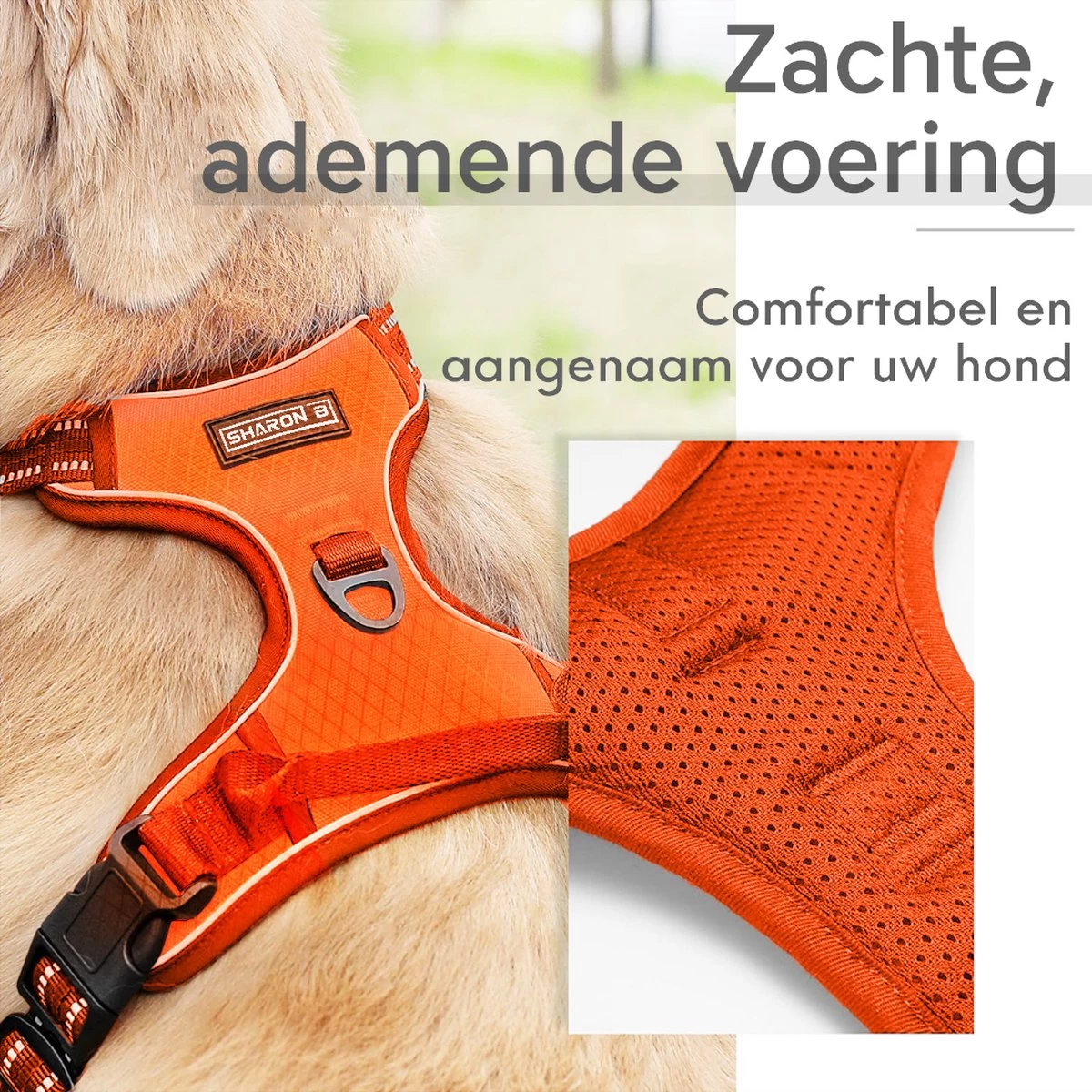 Sharon B - Hondentuigje - Voor Middelgrote Honden - Oranje - Maat M - No Pull - Anti Trek - Reflecterend - Hoeft Niet Over Het Hoofd Aangetrokken Te Worden 8 Sharon B - Hondentuigje - Voor Middelgrote Honden - Oranje - Maat M - No Pull - Anti Trek - Reflecterend - Hoeft Niet Over Het Hoofd Aangetrokken Te Worden - Afbeelding 6