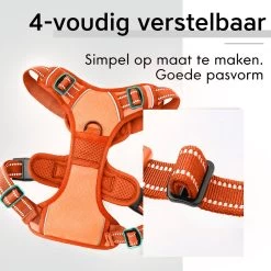Sharon B - Hondentuigje - Voor Middelgrote Honden - Oranje - Maat M - No Pull - Anti Trek - Reflecterend - Hoeft Niet Over Het Hoofd Aangetrokken Te Worden 16 Sharon B - Hondentuigje - Voor Middelgrote Honden - Oranje - Maat M - No Pull - Anti Trek - Reflecterend - Hoeft Niet Over Het Hoofd Aangetrokken Te Worden -Dierenwinkel 1200x1200 1422