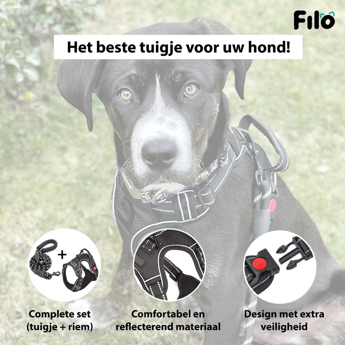 Filo Anti Trek Hondentuig Maat XL Met Hondenriem - Y Tuig Hond Verstelbaar - Hondenharnas Met Hondenlijn - Honden Tuigje - Leiband Hond - Hondentuigje - Extra Large - Riem 8 Filo Anti Trek Hondentuig Maat XL Met Hondenriem - Y Tuig Hond Verstelbaar - Hondenharnas Met Hondenlijn - Honden Tuigje - Leiband Hond - Hondentuigje - Extra Large - Riem - Afbeelding 6