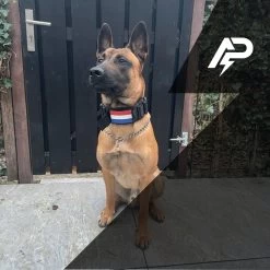 Always Prepared © Pro K9 Complete Set – Anti Trek Tuig – Honden Harnas – Y Tuig Hond – Trainings Riem – Best Getest 2022 – Halsband Hond – Middel En Grote Hond – Honden Tuigje – Harnas Hond – Veiligheidstuig – 450KG Anti Trek Test – Combi Deal 37 Always Prepared © Pro K9 Complete Set – Anti Trek Tuig – Honden Harnas – Y Tuig Hond – Trainings Riem – Best Getest 2022 – Halsband Hond – Middel En Grote Hond – Honden Tuigje – Harnas Hond – Veiligheidstuig – 450KG Anti Trek Test – Combi Deal -Dierenwinkel 1200x1200 1450