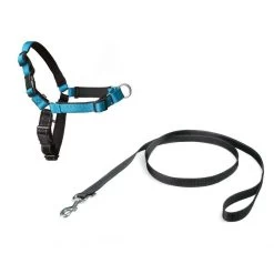 PetSafe Easy Walk® Deluxe Harness - Hondentuig - Blauw - L -1,8 M 29 PetSafe Easy Walk® Deluxe Harness - Hondentuig - Blauw - L -1,8 M -Dierenwinkel 1200x1200 1456