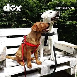 DDOXX Hondenharnas Nylon, Step-In, Verstelbaar, Uitbraakbestendig | Voor Kleine, Middelgrote & Grote Honden | Borstharnas Hond Kat Puppy Auto | Puppy Harnas Kat Harnas | Zwart, S -Dierenwinkel 1200x1200 1464