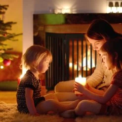 Relaxdays Veiligheidshekje Hout - 92 Cm Hoog - Hondenhek - Inklapbaar - Bruin - 3 Panelen -Dierenwinkel 1200x1200 1559