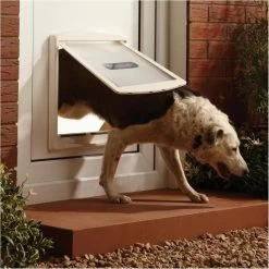 Petsafe 760 Hondenluik - L - Wit - 37 X 31,4 Cm -Dierenwinkel 1200x1200 1565