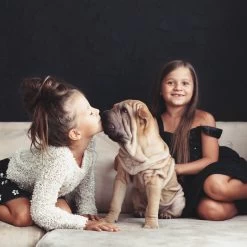 Relaxdays Puppyren - Hondenren - Puppykennel - Konijnenren - Bodem - Metaal - Div. Grootte - M -Dierenwinkel 1200x1200 1589