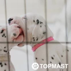 Topmast Puppyren Uitvouwbaar - Zwart - 560 Cm Omtrek - 60 Cm Hoog - Opvouwbaar XL - Hondenren -Dierenwinkel 1200x1200 1613