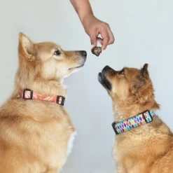 Topdiervoeding Runderlong Hondensnacks - Vers Gedroogd - Knapperig - 1 KG -Dierenwinkel 1200x1200 188