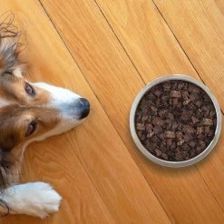 Topdiervoeding Runderlong Hondensnacks - Vers Gedroogd - Knapperig - 1 KG -Dierenwinkel 1200x1200 189