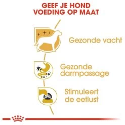 Royal Canin Chihuahua Pouch (12X85 GR) 14 Royal Canin Chihuahua Pouch (12X85 GR) -Dierenwinkel 1200x1200 202