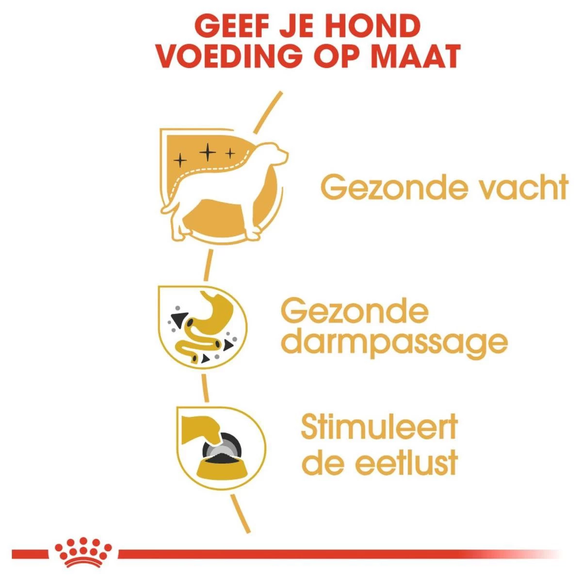 Royal Canin Chihuahua Pouch (12X85 GR) 6 Royal Canin Chihuahua Pouch (12X85 GR) - Afbeelding 4