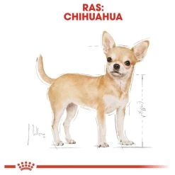 Royal Canin Chihuahua Pouch (12X85 GR) 15 Royal Canin Chihuahua Pouch (12X85 GR) -Dierenwinkel 1200x1200 203