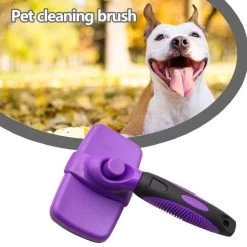 Buxibo Ondervacht Borstel Voor Hond En Kat - Kliksysteem Hondenborstel - Kattenkam - Hondenkam Voor Ondervacht - Klittenkam Voor Honden En Katten - Verwijderd Klitten -Dierenwinkel 1200x1200 247