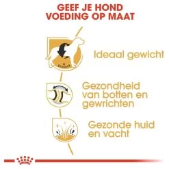 Royal Canin Labrador Retriever Adult 12 KG -Dierenwinkel 1200x1200 27