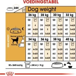 Royal Canin Labrador Retriever Adult 12 KG -Dierenwinkel 1200x1200 28