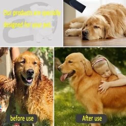 Hondenfohn - Waterblazer Met Draaiknop - 2400W Vermogen Met Warme En Koude Stand - Wit 23 Hondenfohn - Waterblazer Met Draaiknop - 2400W Vermogen Met Warme En Koude Stand - Wit -Dierenwinkel 1200x1200 283