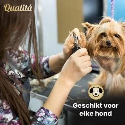 Merkloos Professionele Honden Tondeuse Set - Tondeuse Voor Huisdier Honden En Katten - Hondentrimmer - Hondentondeuse 14 Merkloos Professionele Honden Tondeuse Set - Tondeuse Voor Huisdier Honden En Katten - Hondentrimmer - Hondentondeuse -Dierenwinkel 1200x1200 298