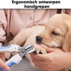 Professionele Nagelschaar|Nagelschaar Hond | Nagelschaar Kat| Nagelknipper Hond En Kat| Nagelknipper Kat| Nagelknipper Hond|NagelTang Dieren|Poot Verzorging 15 Professionele Nagelschaar|Nagelschaar Hond | Nagelschaar Kat| Nagelknipper Hond En Kat| Nagelknipper Kat| Nagelknipper Hond|NagelTang Dieren|Poot Verzorging -Dierenwinkel 1200x1200 319