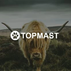 Yak Kaas Hondensnacks - 8 Stuks - 100% Natuurlijk - XS - 20-40 Gram - Kauwstaaf - Kauwbot - Voor De Hond -Dierenwinkel 1200x1200 32