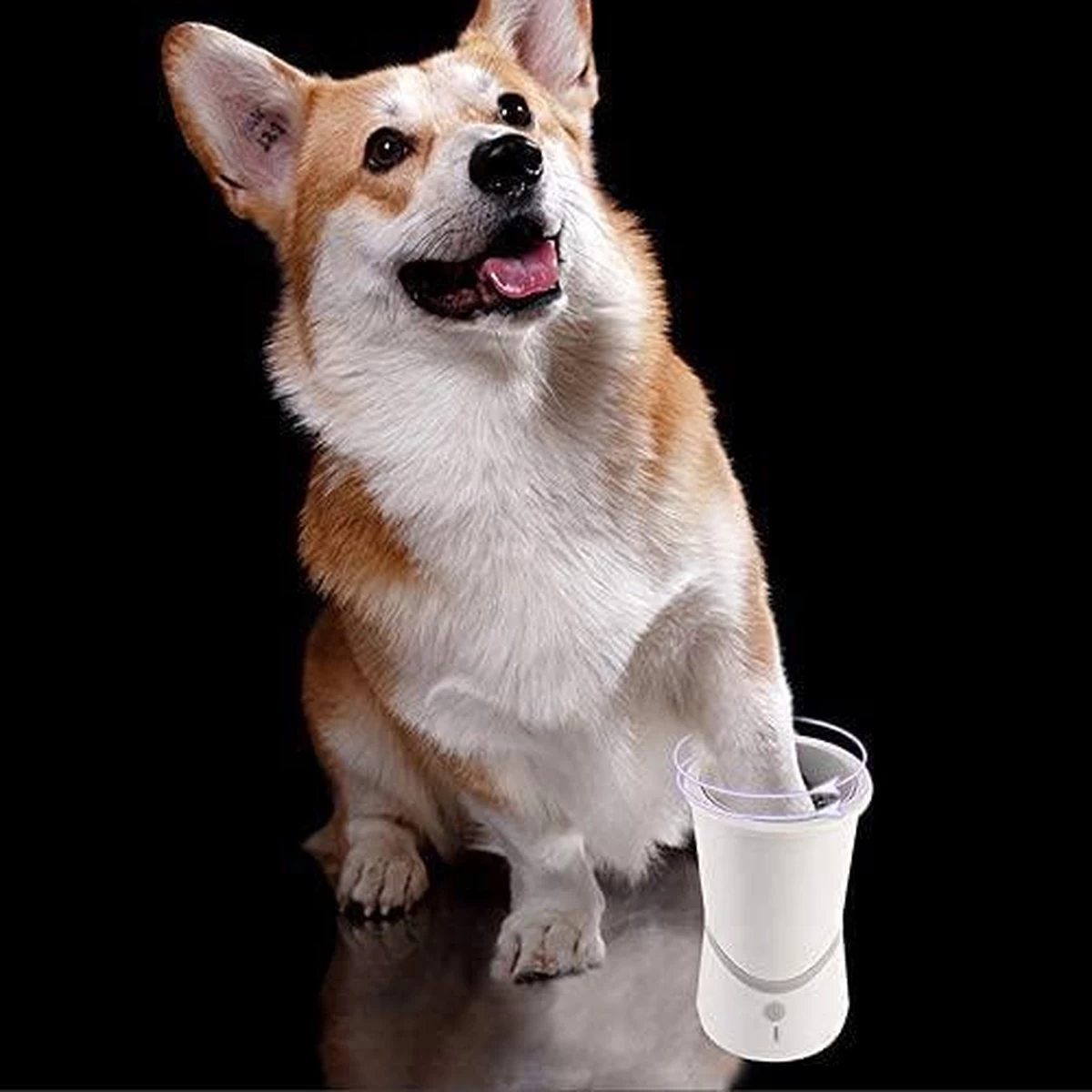 Merkloos Elektrische Hondenpootreiniger Draagbare Pet Voetenreinigingsborstel Zuigerkom Hondenvoetenreiniger Wasmachine Zachte Siliconenborstels Voor Modderige Poten Oplaadbare USB 7 Merkloos Elektrische Hondenpootreiniger Draagbare Pet Voetenreinigingsborstel Zuigerkom Hondenvoetenreiniger Wasmachine Zachte Siliconenborstels Voor Modderige Poten Oplaadbare USB - Afbeelding 5