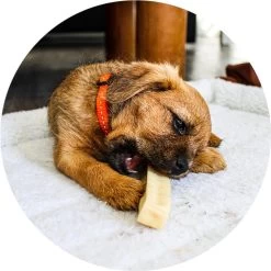 RENSKE | Renske Chhurpi Kauwkluif -Dierenwinkel 1200x1200 38