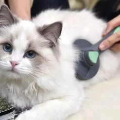 Pakeway Kattenborstel – Hondenborstel – Haarverwijderaar Voor Huisdieren – Kattenkam - Kortharig - Langharig - Inclusief Ebook! -Dierenwinkel 1200x1200 431