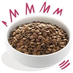 Edgard & Cooper Verse Hert & Scharreleend Adult - Hondenvoer - 12 Kg -Dierenwinkel 1200x1200 47