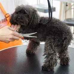 Merkloos Premium Gebogen Trimschaar Honden - Huisdier Trimmen - Hoofd, Poten Ogen & Oren - Kat & Hond Knippen - Veilige Schaar -Dierenwinkel 1200x1200 497