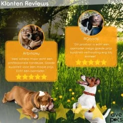 AVE Pets® Complete Hondentondeuse Set - Draadloos Tondeuse - Scheerapparaat Voor Je Hond Of Kat - Huisdier Trimmer - Professionele Dierentondeuse - Dieren Verzorging -Dierenwinkel 1200x1200 536