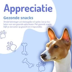 Animalgoods Gedroogde Snacks - Hondensnack - Varken - Varkensoorstukjes - 500 Gram - Hondensnacks - Honden - Snacks -Dierenwinkel 1200x1200 56