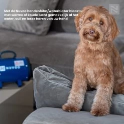 Nuvoo Professionele Hondenföhn / Waterblazer / Hondenborstel Met 3 Opzetstukken - Verstelbare Vermogen Tot 2200W - Warme / Koude Stand - Roze -Dierenwinkel 1200x1200 583