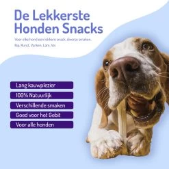 Animalgoods Gedroogde Snacks - Hondensnack - Varken - Varkensoorstukjes - 500 Gram - Hondensnacks - Honden - Snacks -Dierenwinkel 1200x1200 59