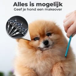 VoordeelShop 7-Delige Huisdier Knipset Met Etui - Trimmen Hond - Honden Schaar - Effileerschaar Hond - Huisdier Trimmer - Huisdier Knippen - Knipschaar Haar - Haar Schaar - Kapper - Kapperset - Scharenset -Dierenwinkel 1200x1200 615
