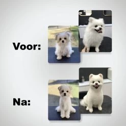 VoordeelShop 7-Delige Huisdier Knipset Met Etui - Trimmen Hond - Honden Schaar - Effileerschaar Hond - Huisdier Trimmer - Huisdier Knippen - Knipschaar Haar - Haar Schaar - Kapper - Kapperset - Scharenset -Dierenwinkel 1200x1200 620