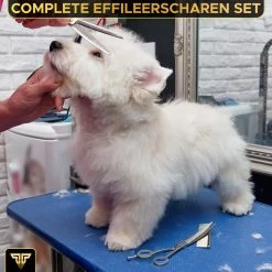 Toivo Schaar Voor Dieren - Zilver - Effileerscharen - Honden Scharenset - Dierenschaar - Set 5 Stuks - Trimscharen - Trimset - Uitdunschaar Hond - Schaar Honden -Dierenwinkel 1200x1200 623